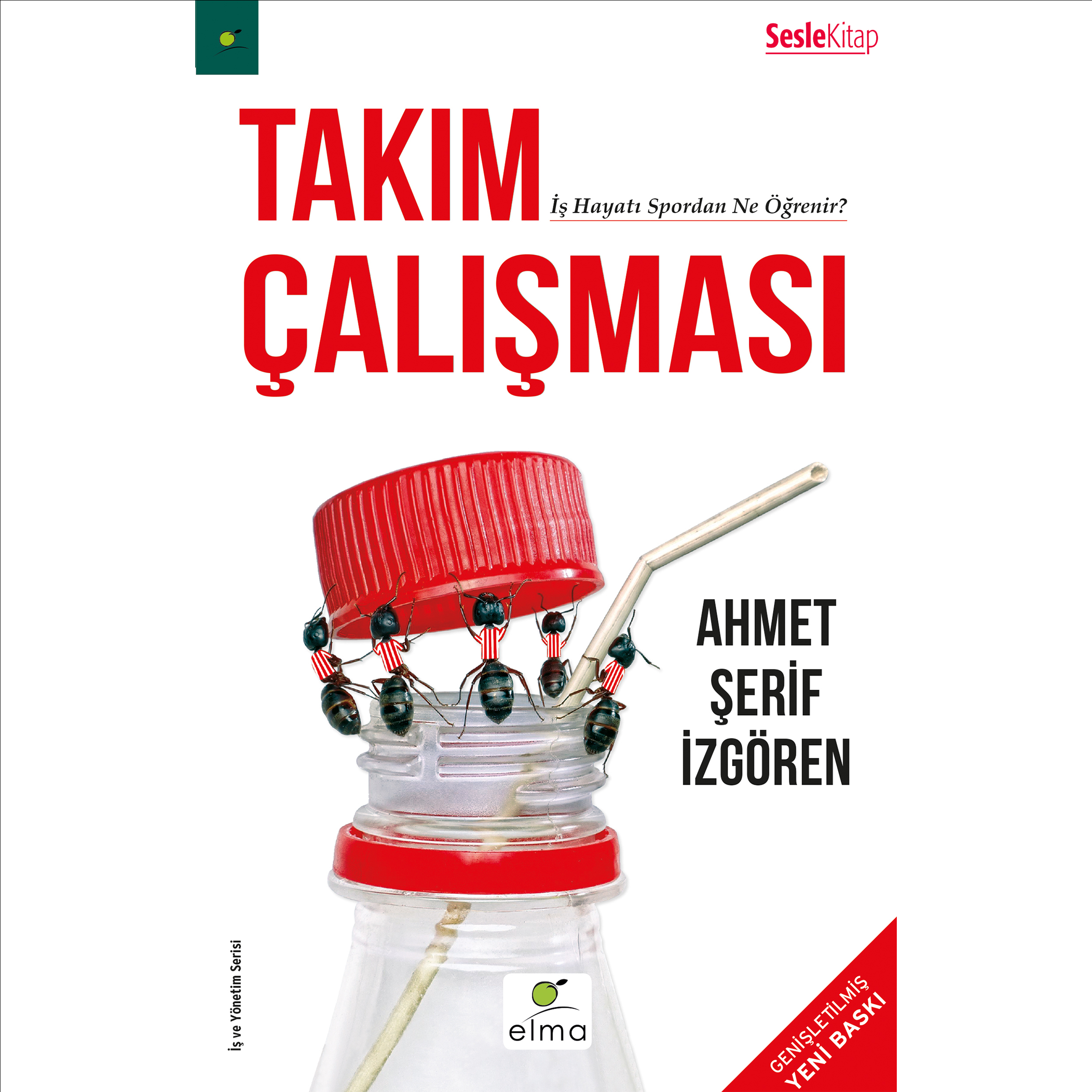 Takım Çalışması